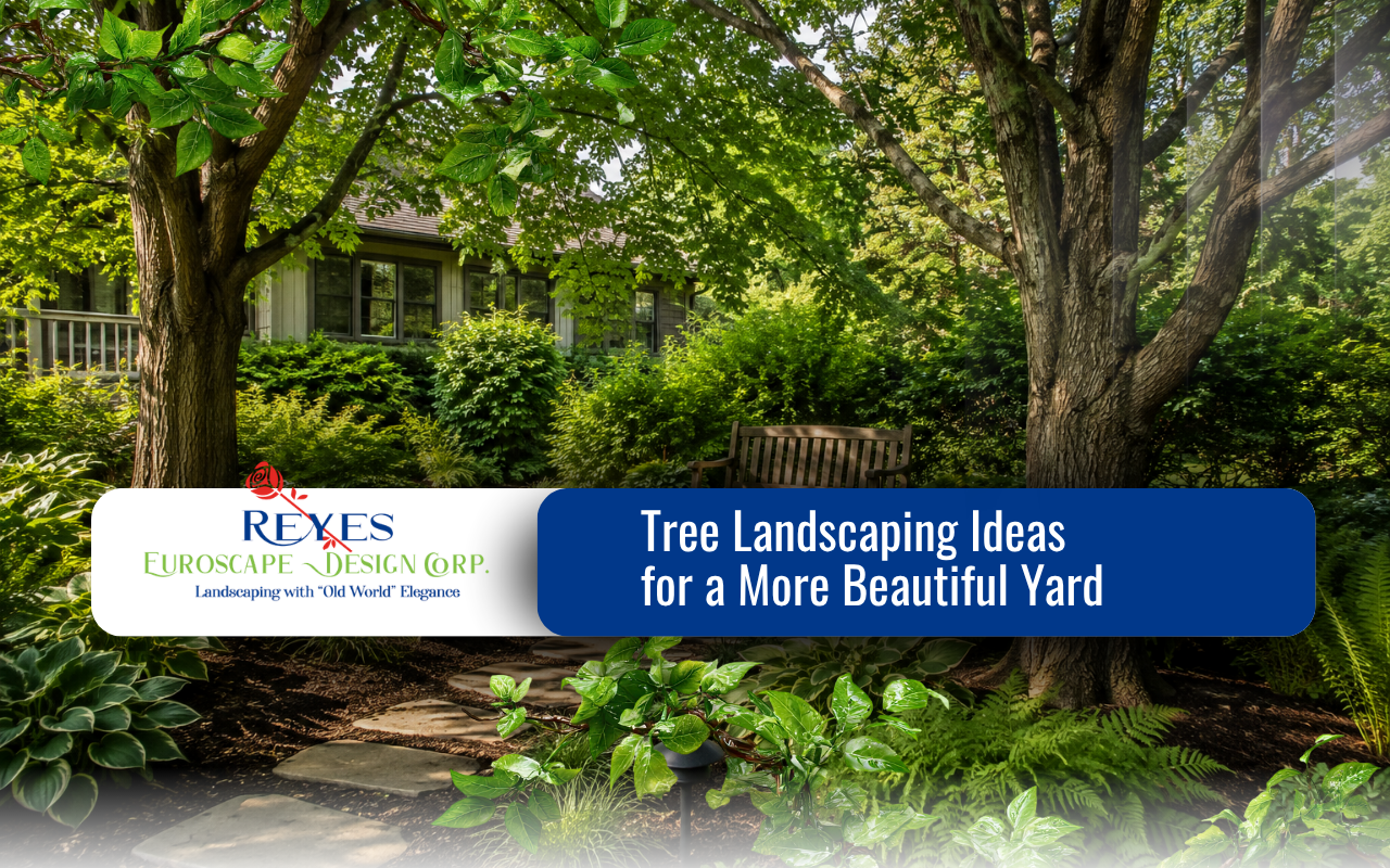 Tree landscaping with shade trees creating a comfortable garden area