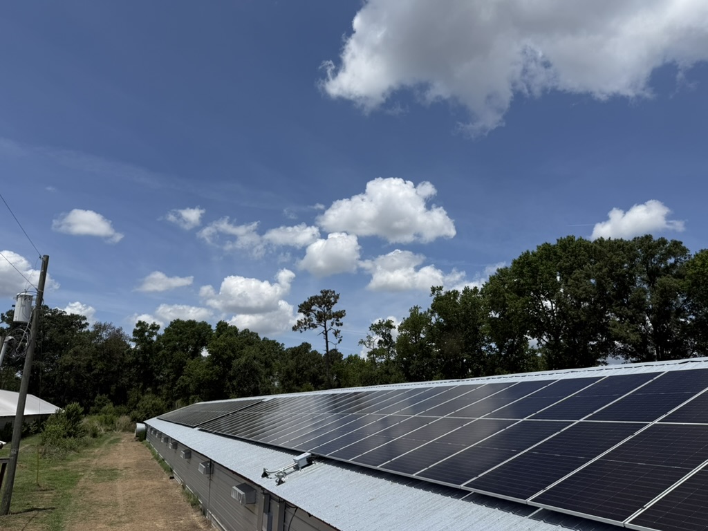 Solar installation on poultry farm