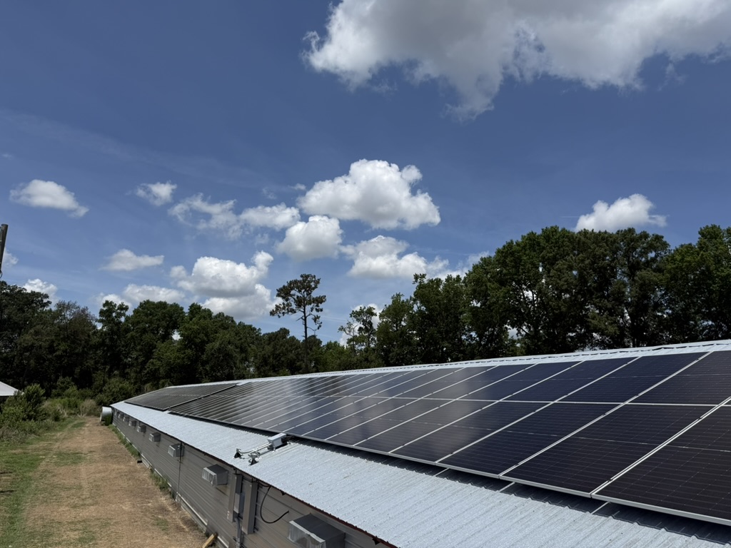Norris Farms Case Study