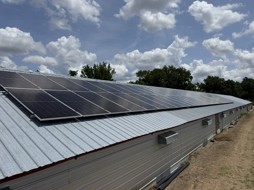 Poultry farm solar panels