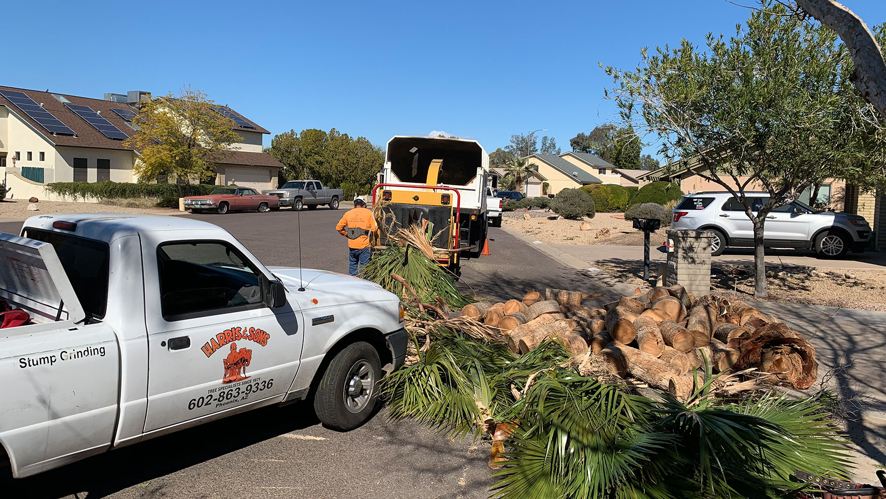 Harris & Sons tree service equipment truck and machinery in Phoenix