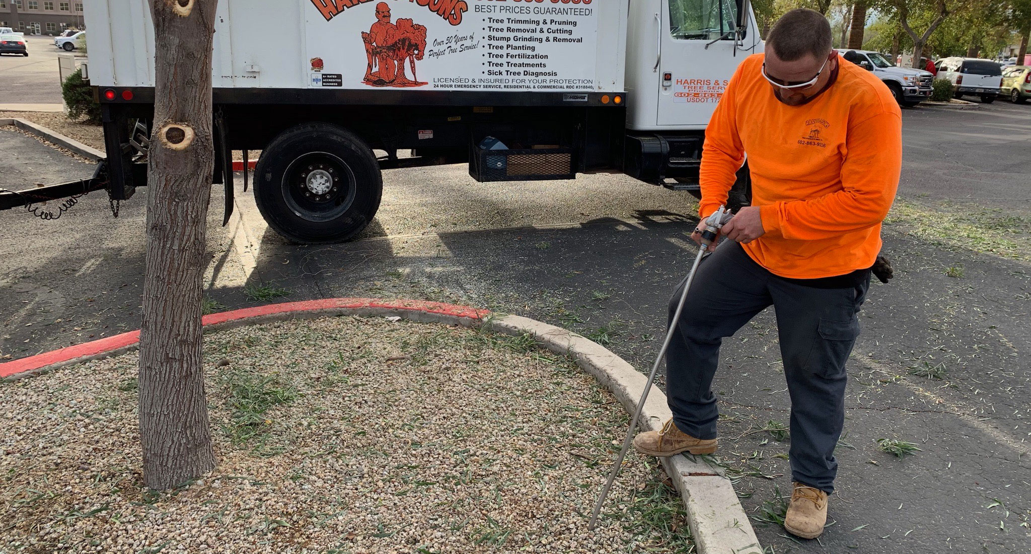 Deep root tree fertilization application in Phoenix