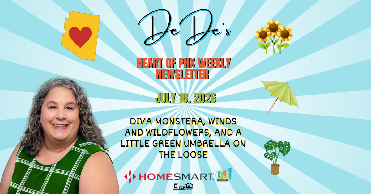 Diva Monstera, Winds and Wildflowers, and a Little Green Umbrella on the Loose