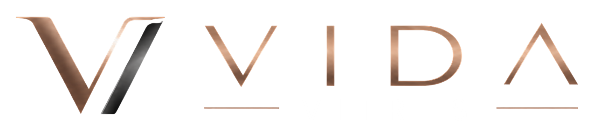 Vida Vitres Logo