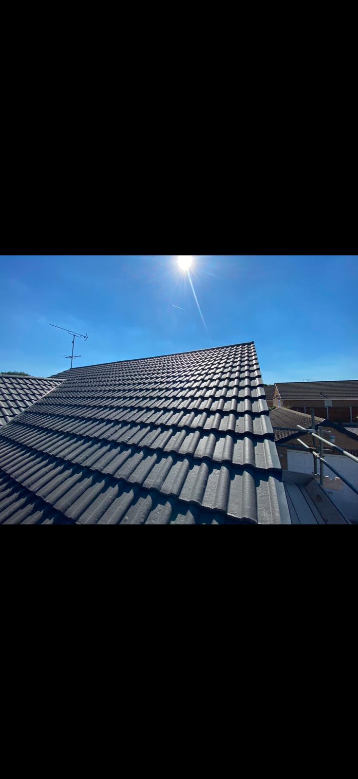 Roofing Professionals