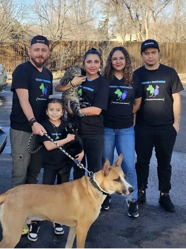 YEIOS Team and Partners