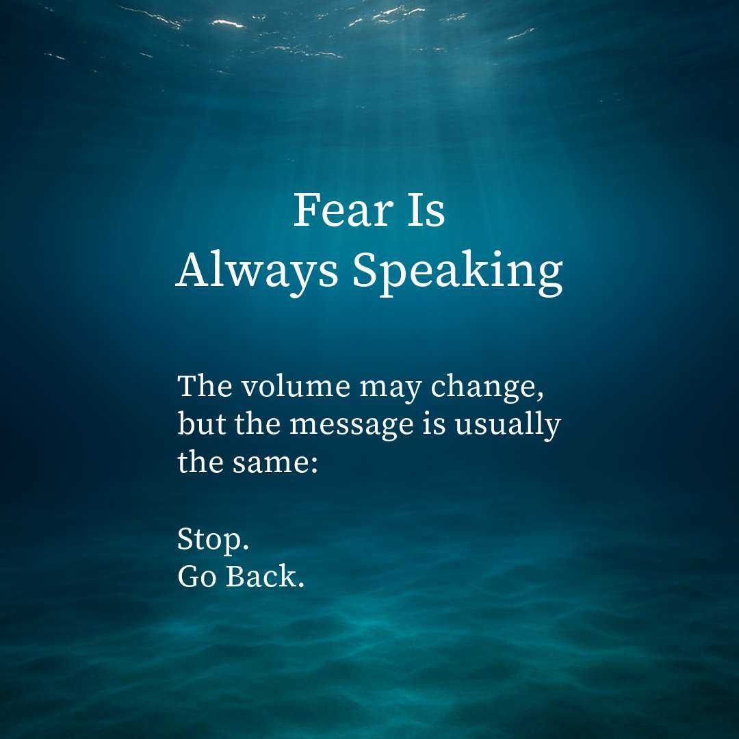 The Mind’s Secret Deal with Fear: Safety at What Price?
