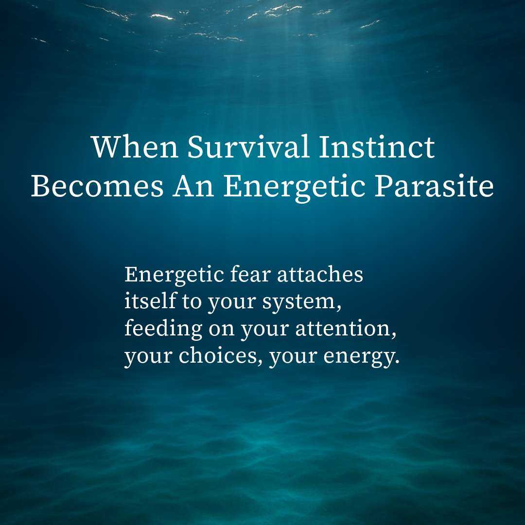 When Survival Instinct Becomes an Energetic Parasite