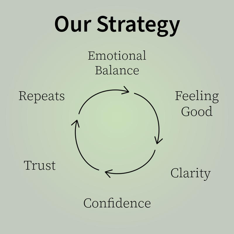 Our Strategy