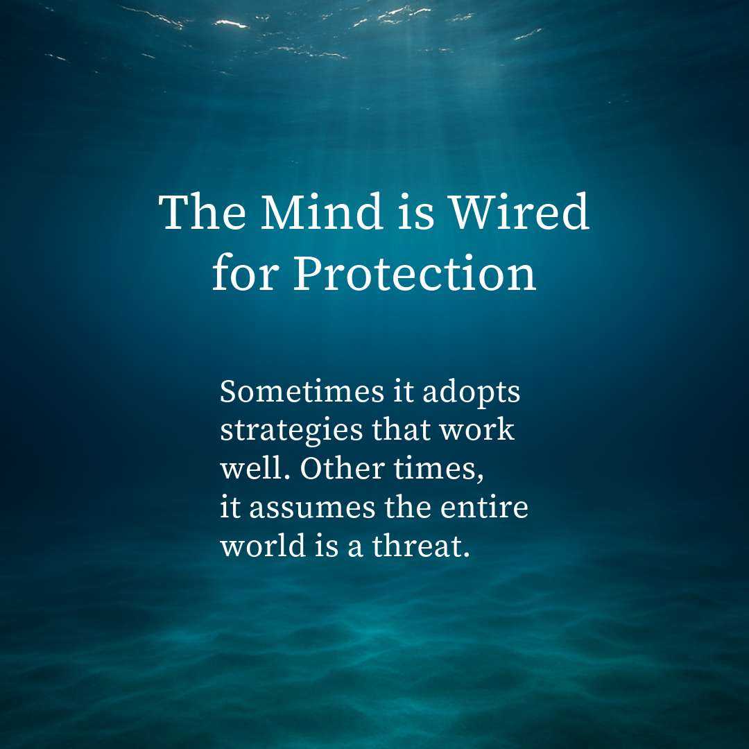 When Fear Becomes a Teacher: Recognizing the Threshold for True Liberation