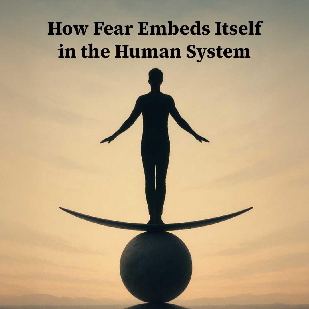 How Fear Embeds Itself in the Human System