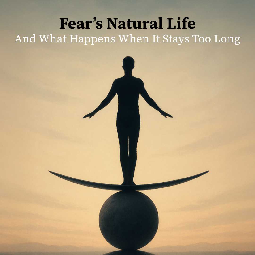 Fear’s Natural Life - and What Happens When It Stays Too Long