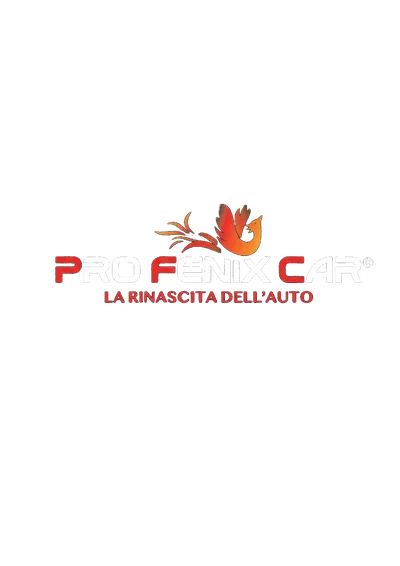 Pro Fenix Car