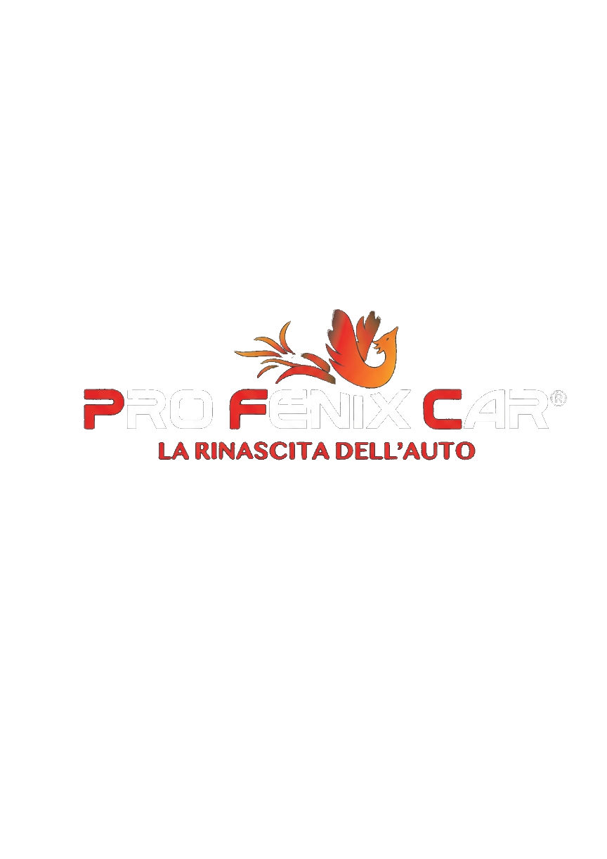 Pro Fenix Car