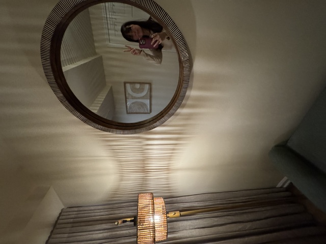 Mirror Reflection