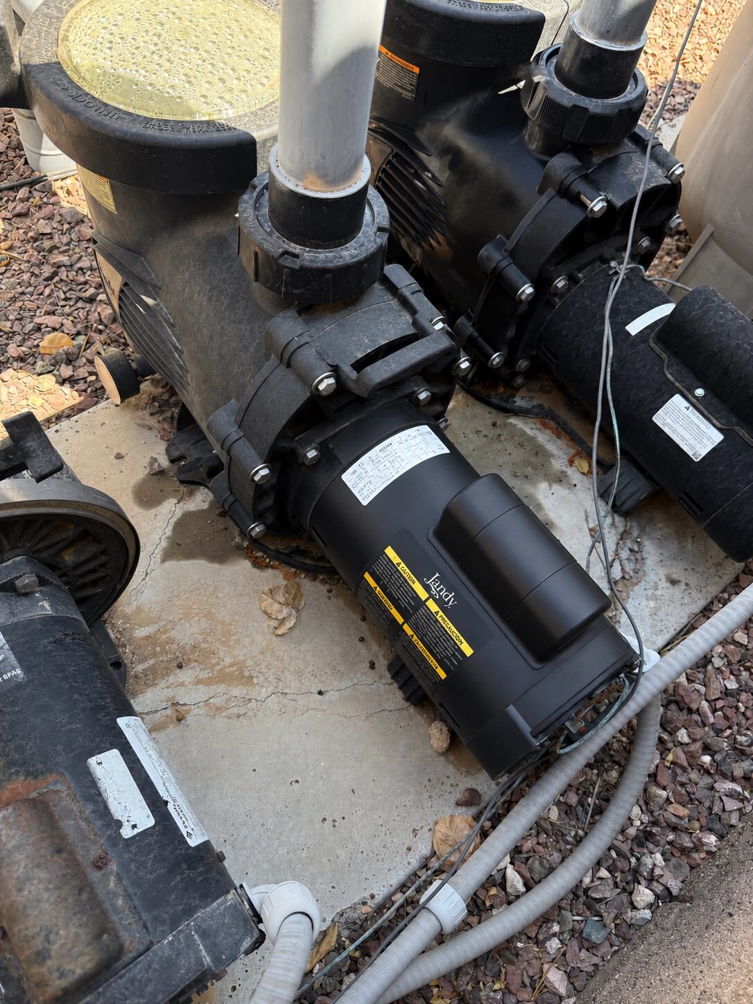 New clean pool pump motor after replacement