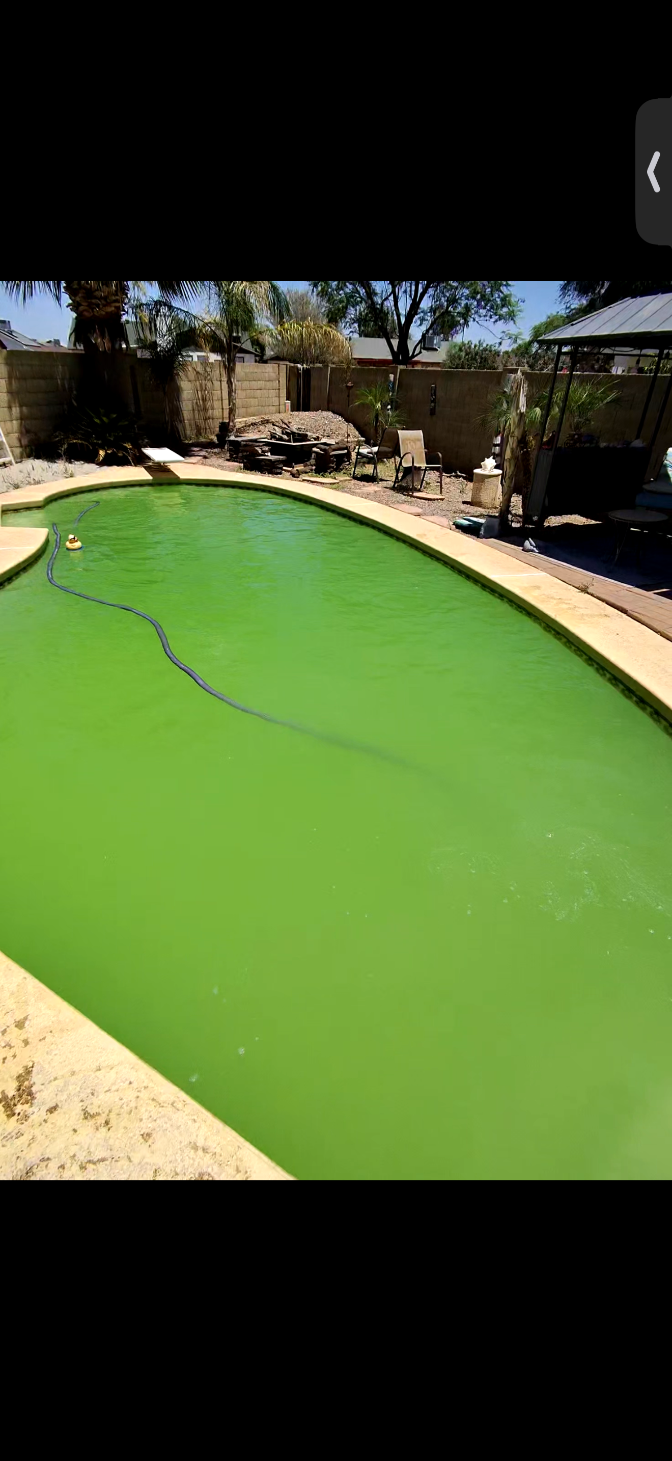 Green pool before cleaning service