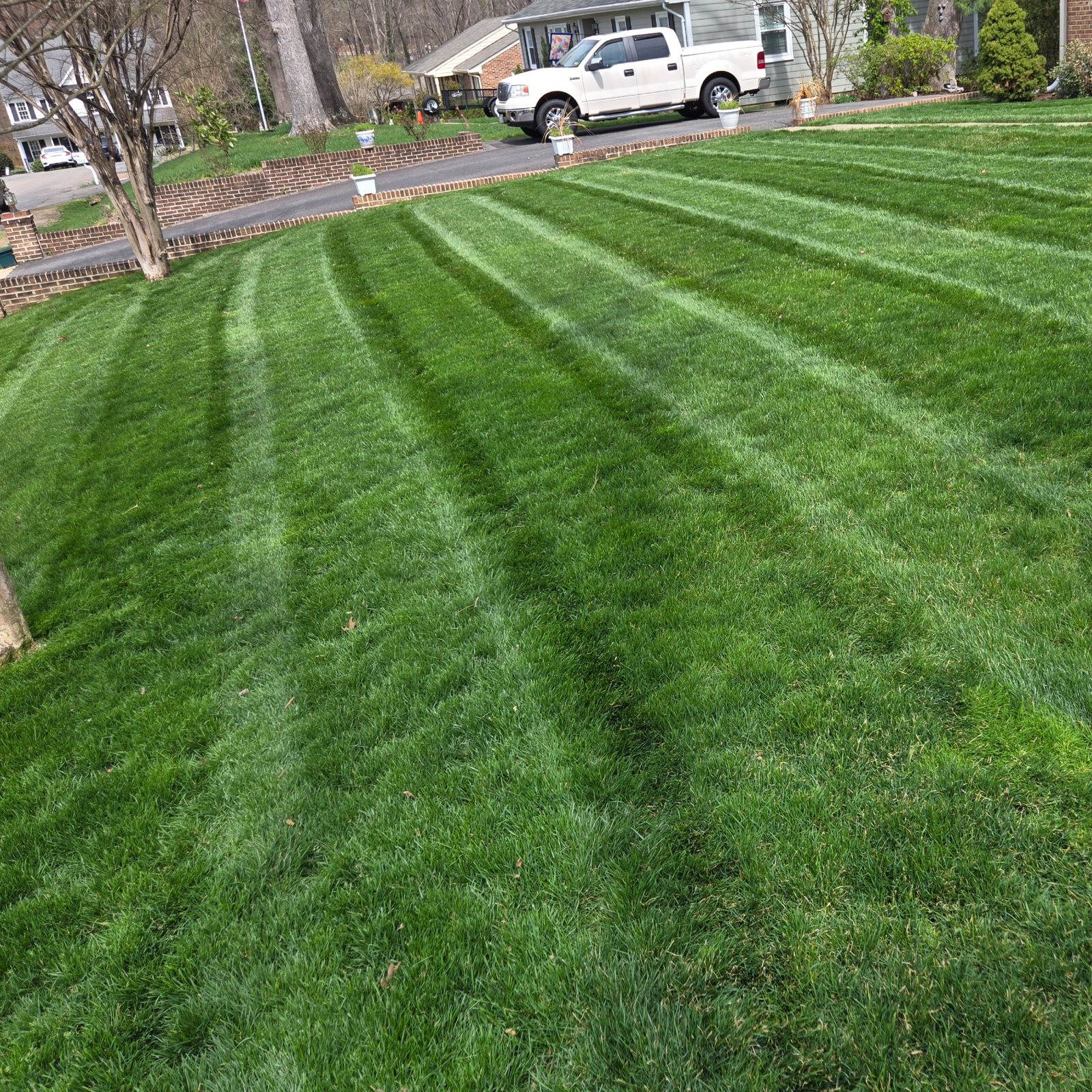 Fresh stripes, edge to edge