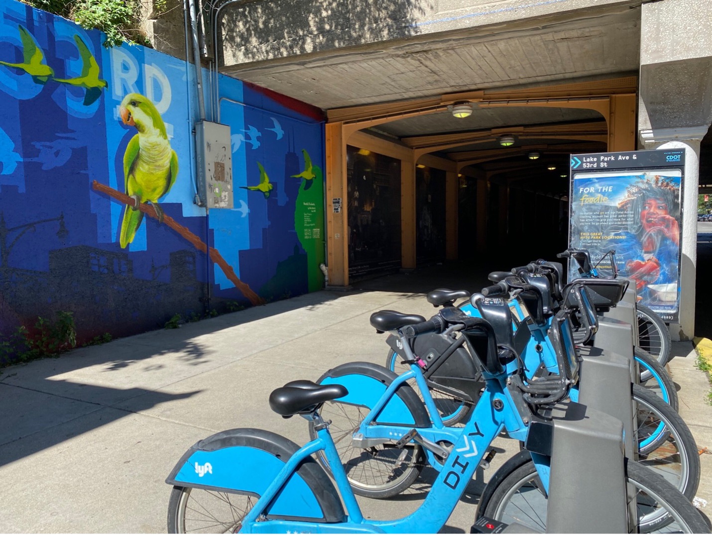 Divvy bike share program
