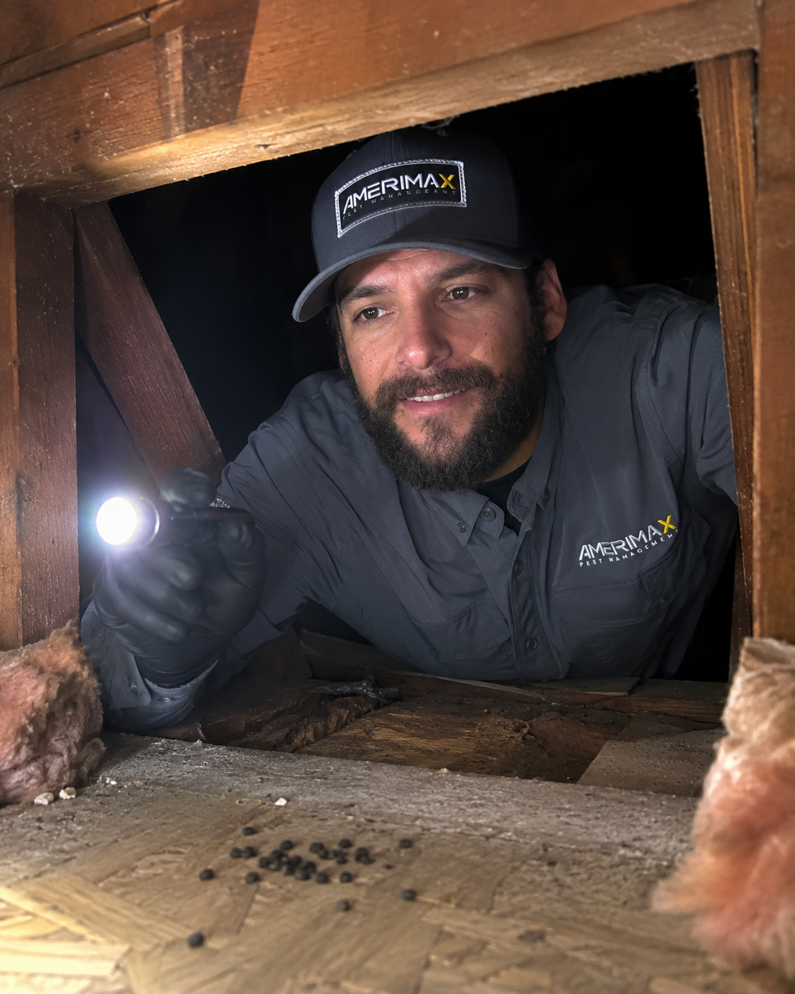 Rodent exclusion work