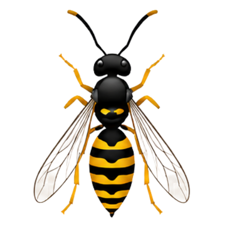 Wasp