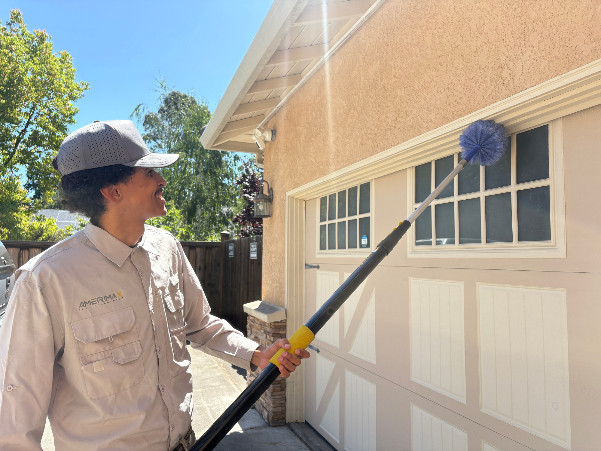 Spider web removal