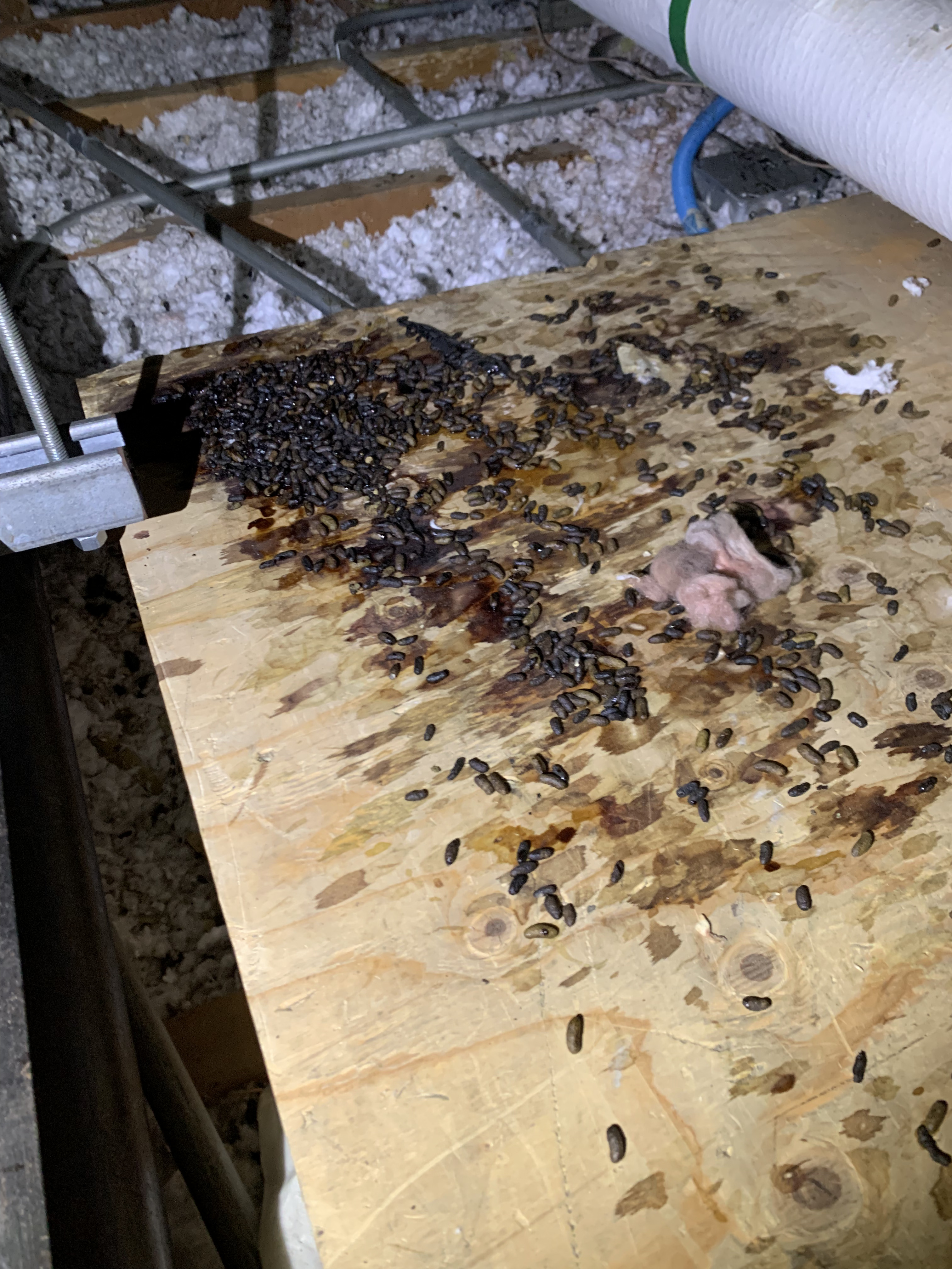 Unpleasant Odors