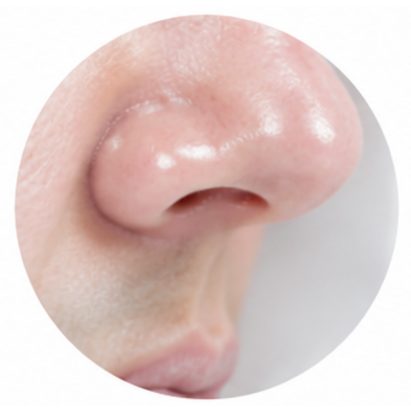 Musty, sweet
odor