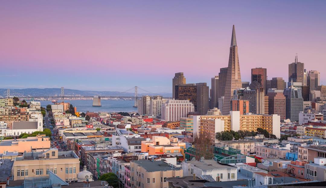 Pest Control service for San Francisco homes and businesses