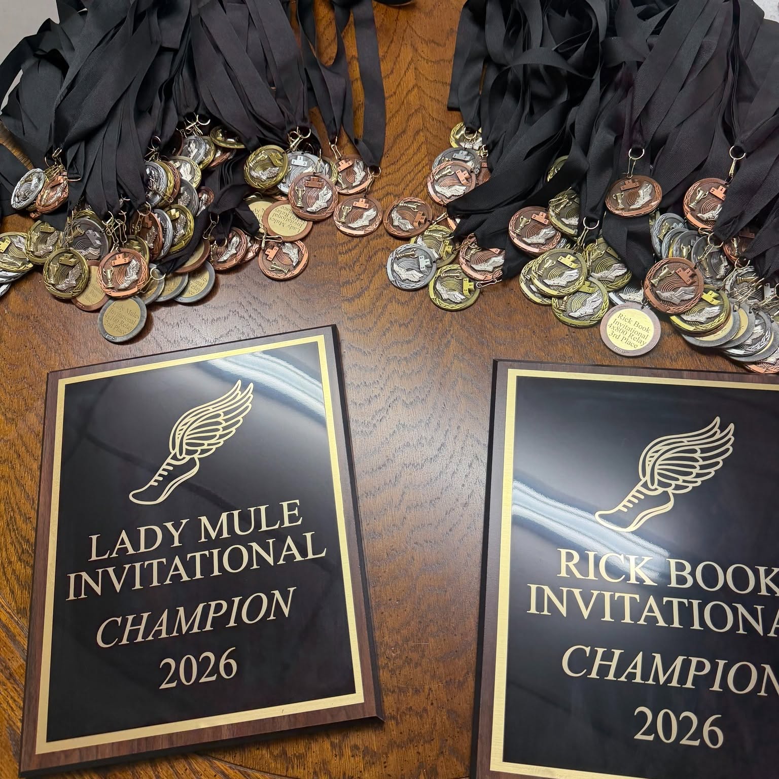 Plaques and trophies example 3