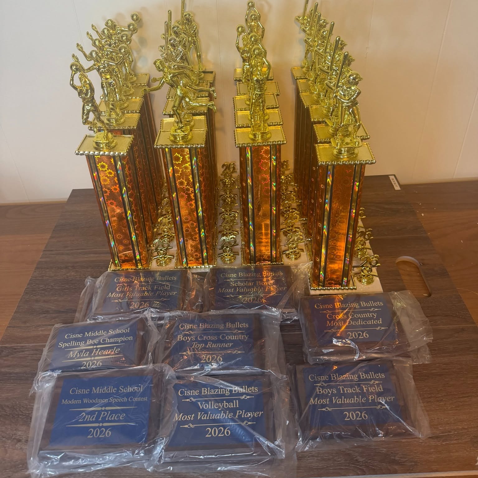 Plaques and trophies example 2