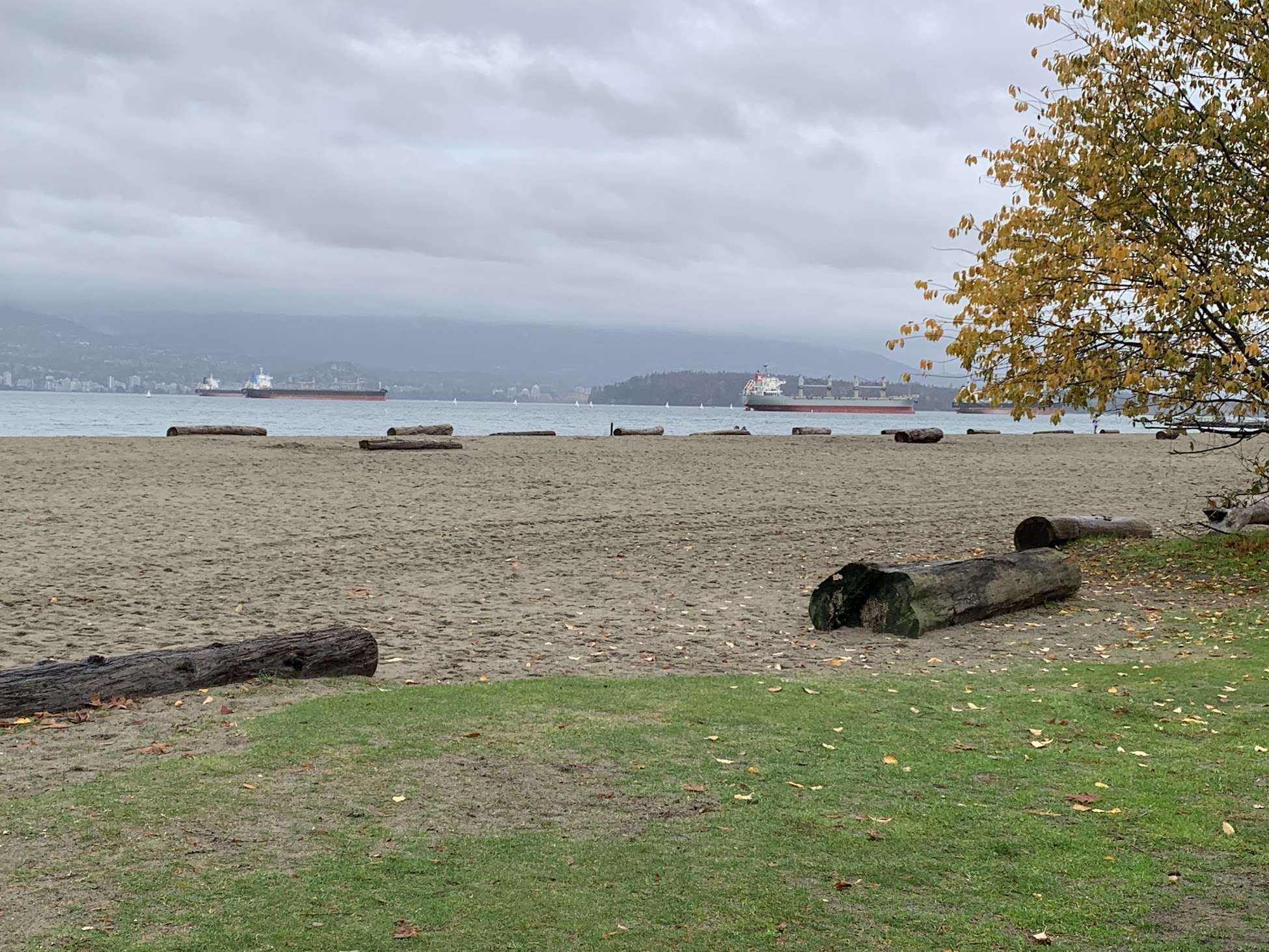 Vancouver harbor