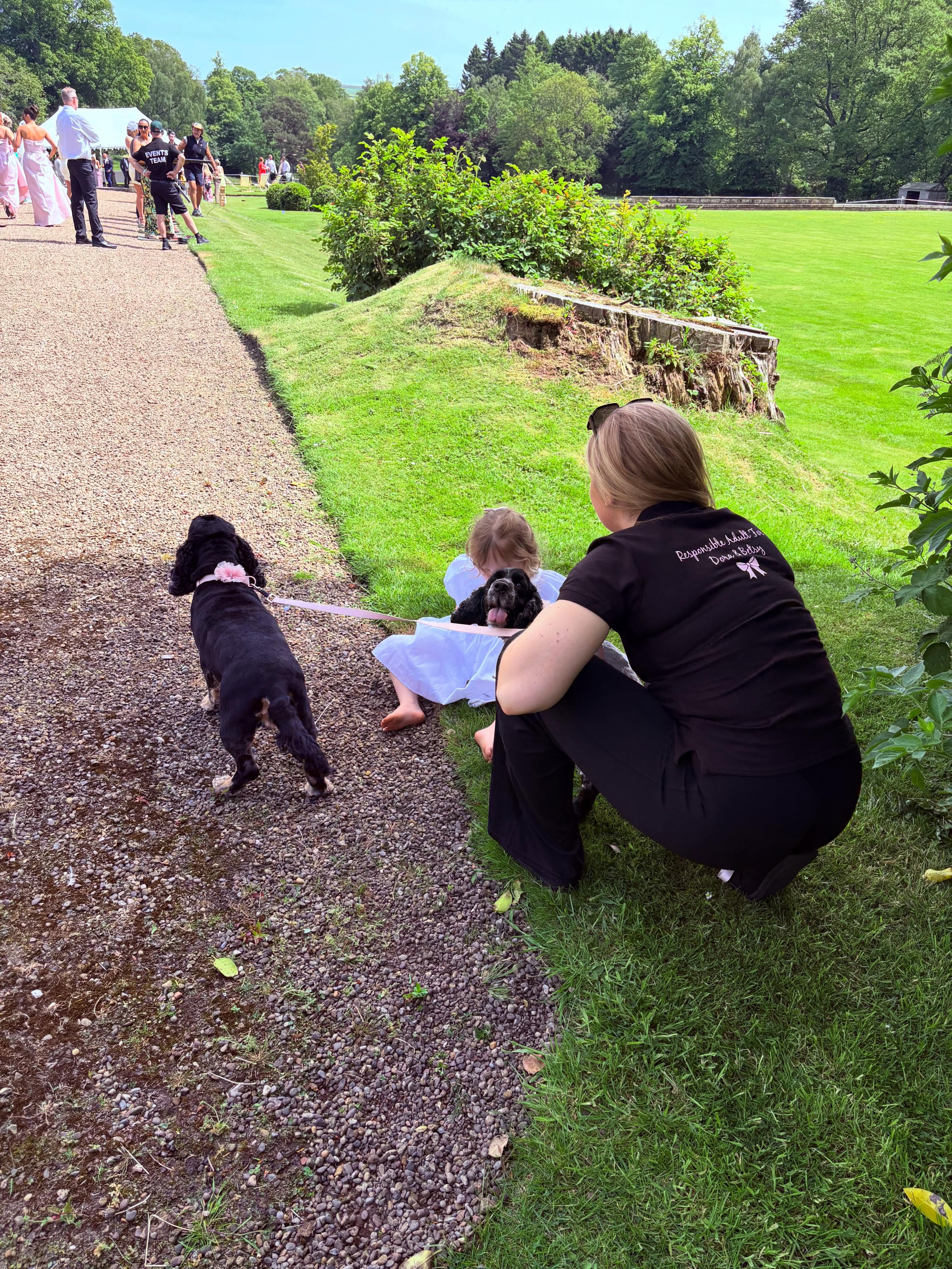 Dog at a wedding