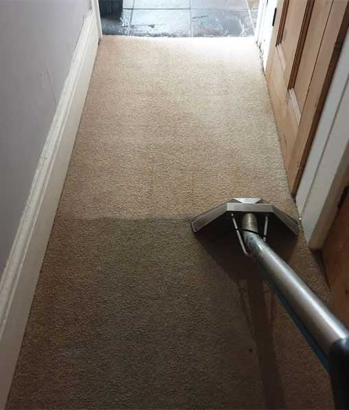 Professional carpet cleaning in North Devon