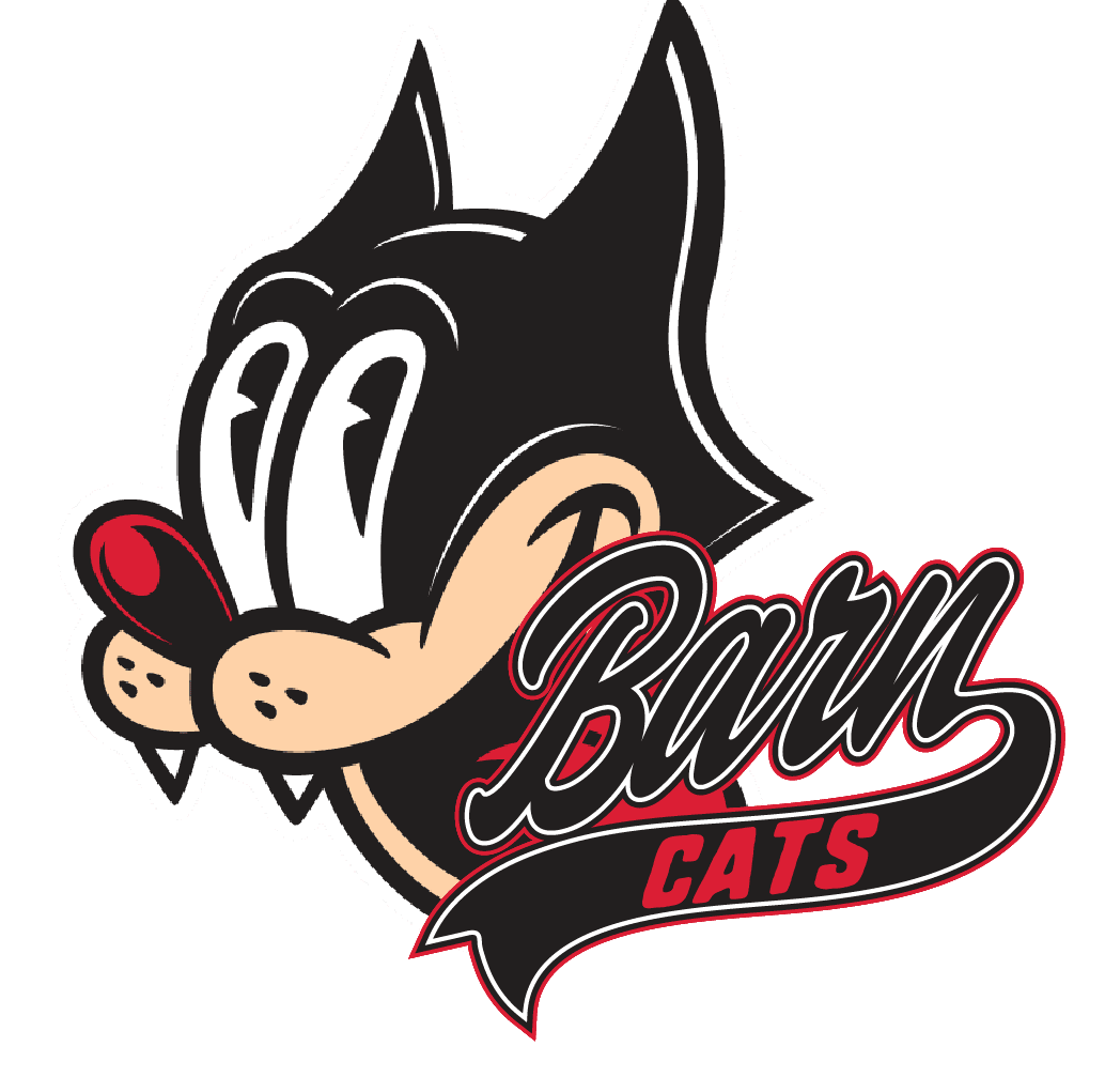 Team Logo
