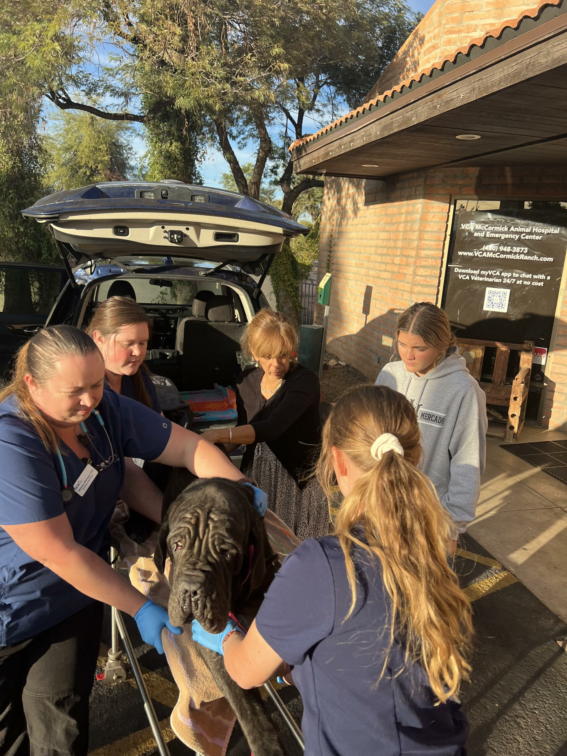 End-of-Life Care Transportation