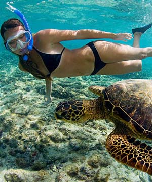 Jean Cousteau Reef Tour