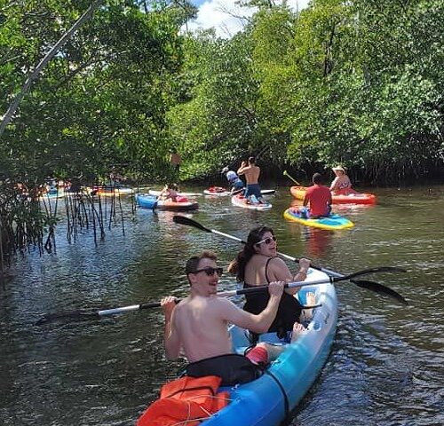 Tropical Mangrove ECO Tour