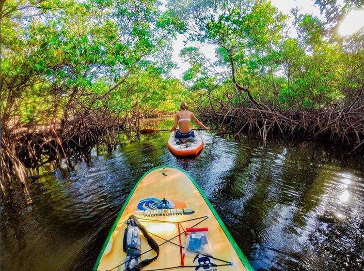 Coconut Cove One Way