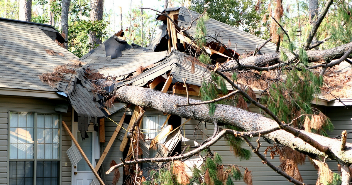 Hurricane & Storm Cleanup