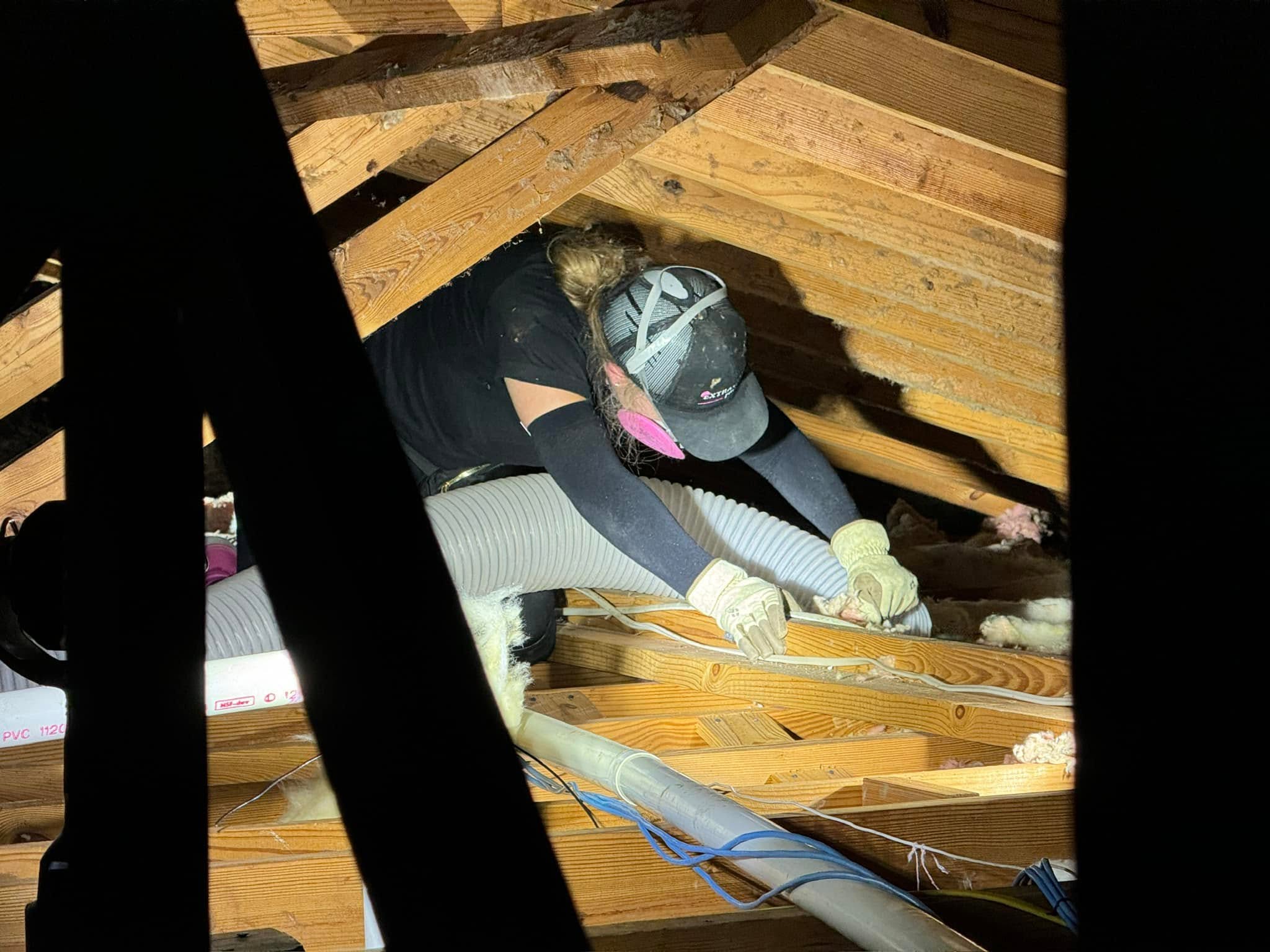 Close-up of attic extraction work with pink insulation