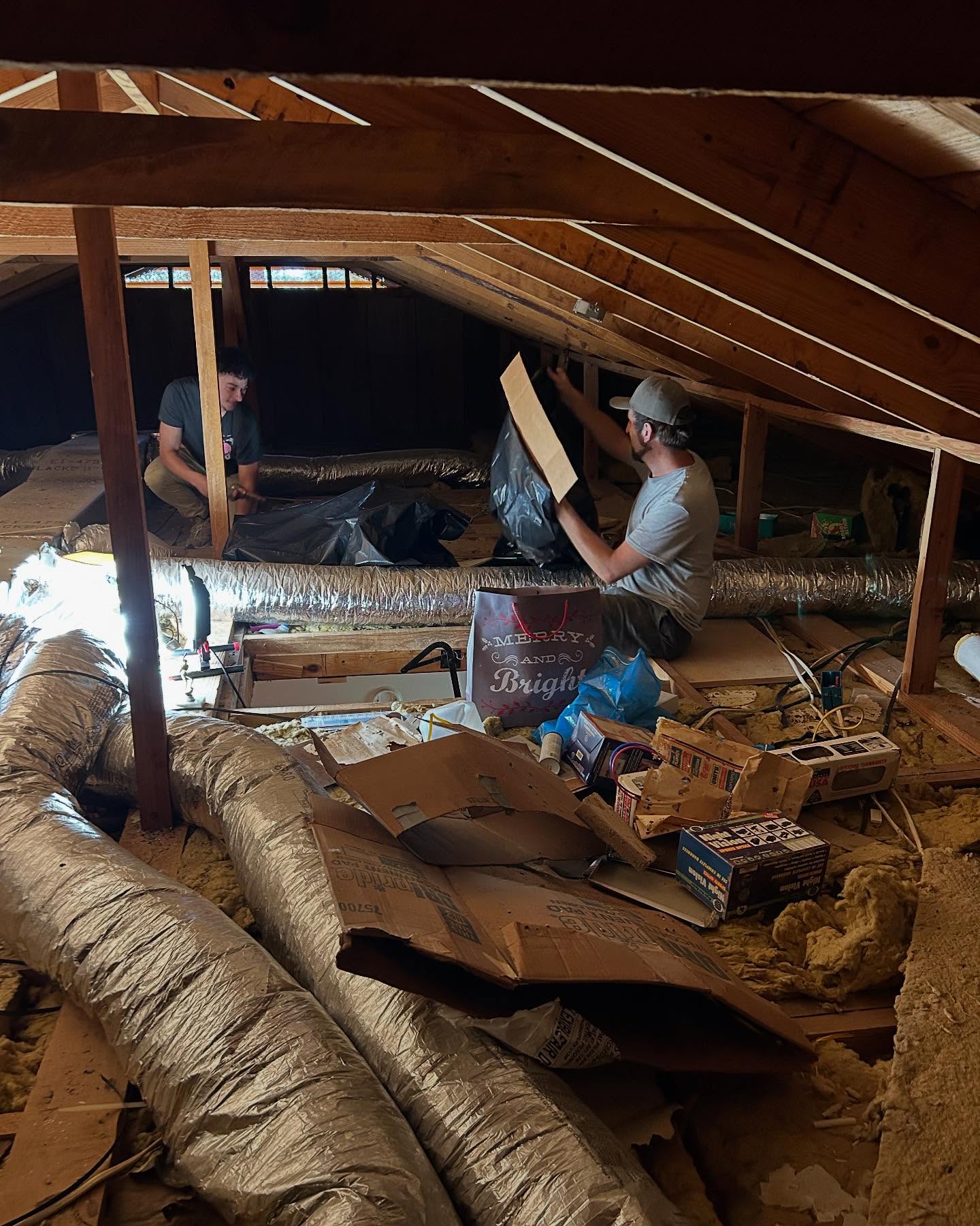 Extraction Pros team members working safely under the dark attic roof rafters