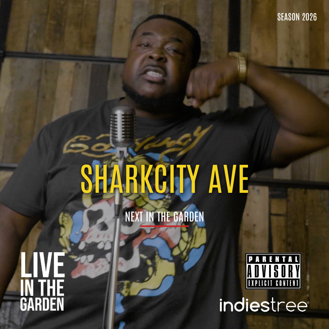 Sharkcity Ave — Next in the Garden
