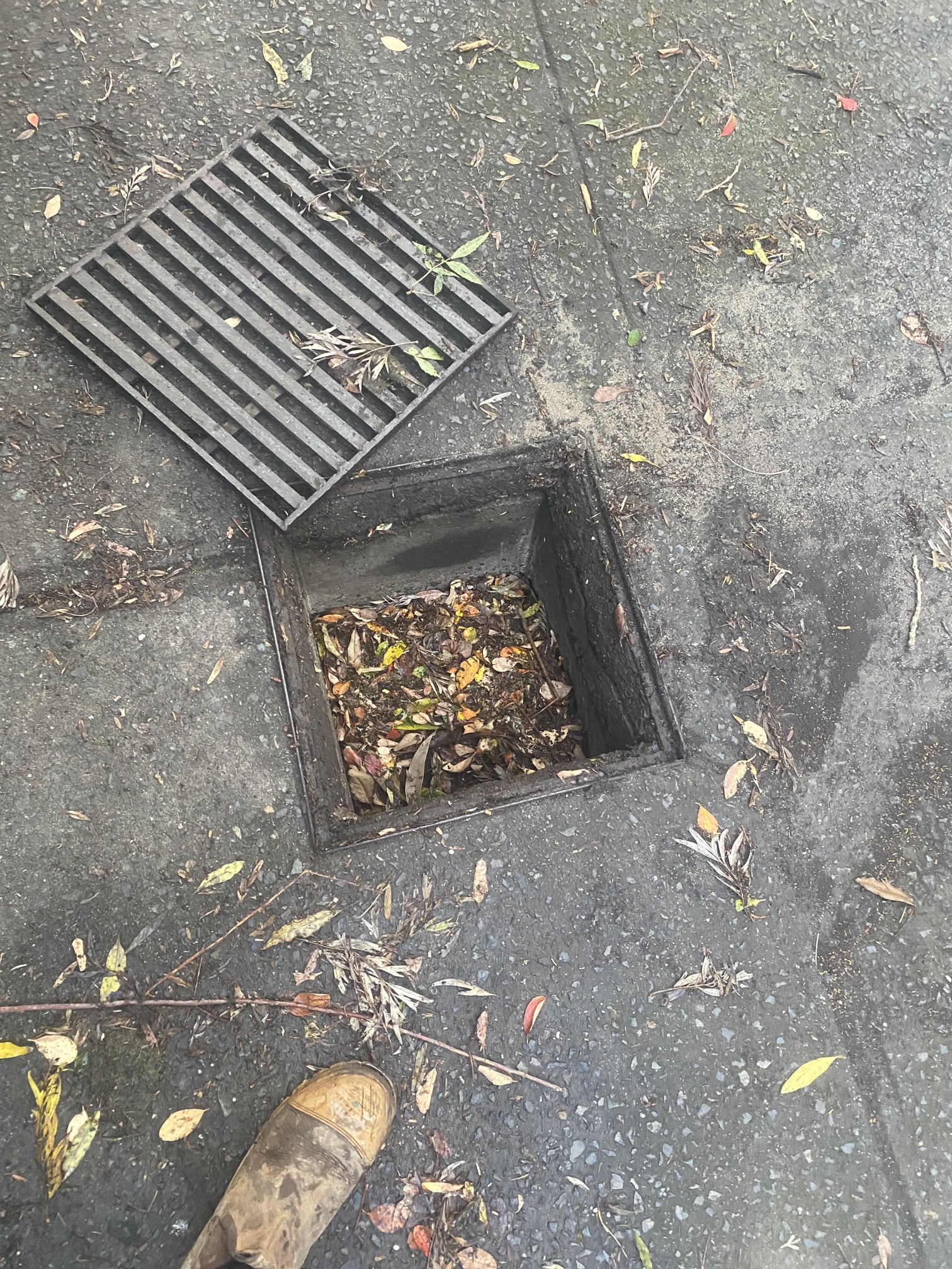 STORMWATER DRAINS
