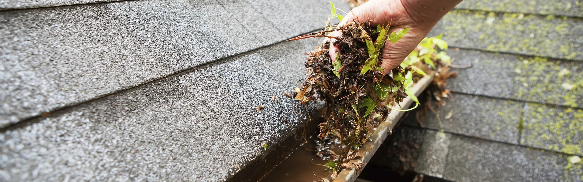 Roofing Leaks / Repairs