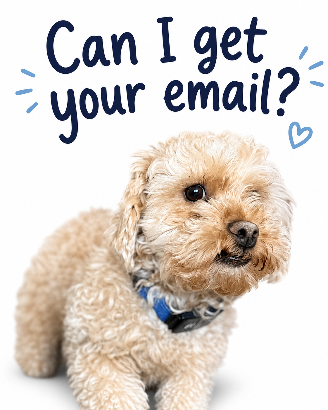 Can I get your email?