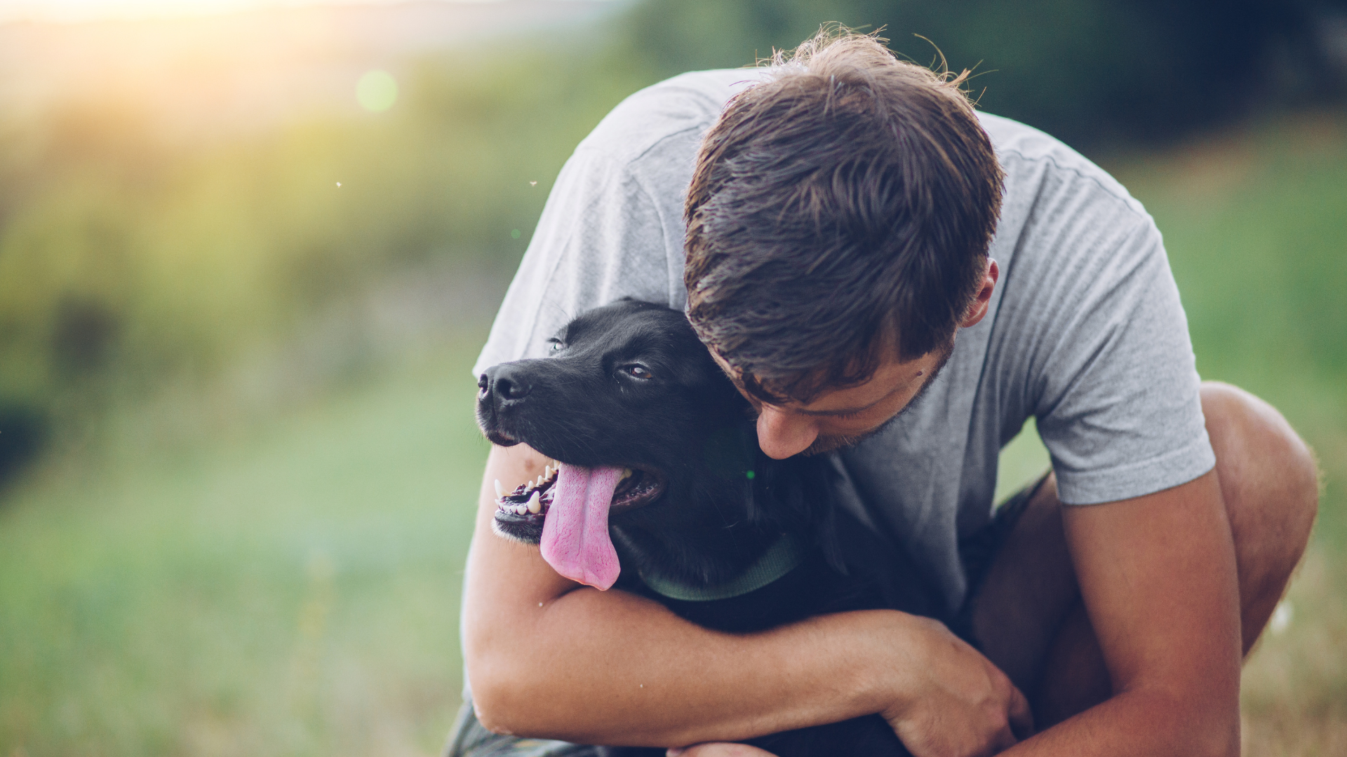Rescued dog