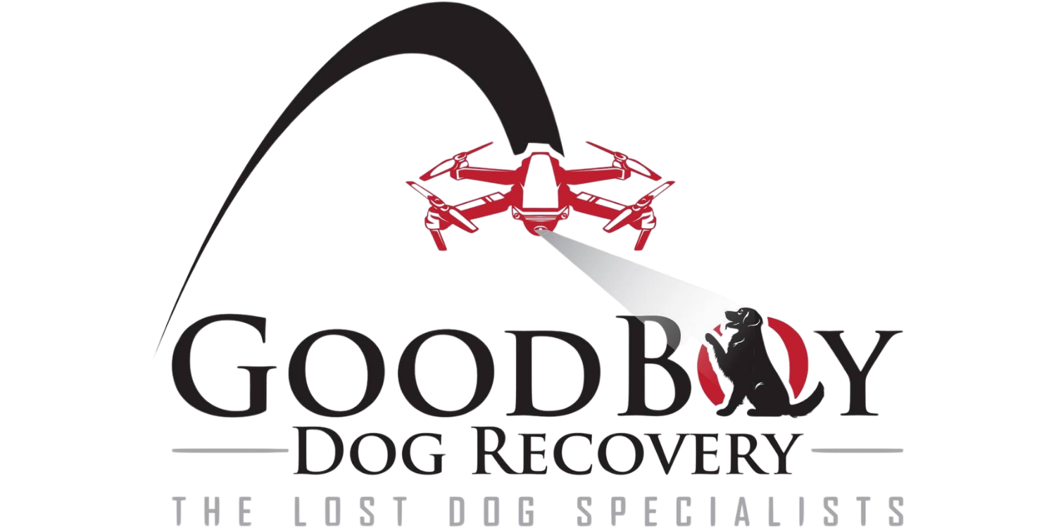 GOODBOY Dog Recovery Logo