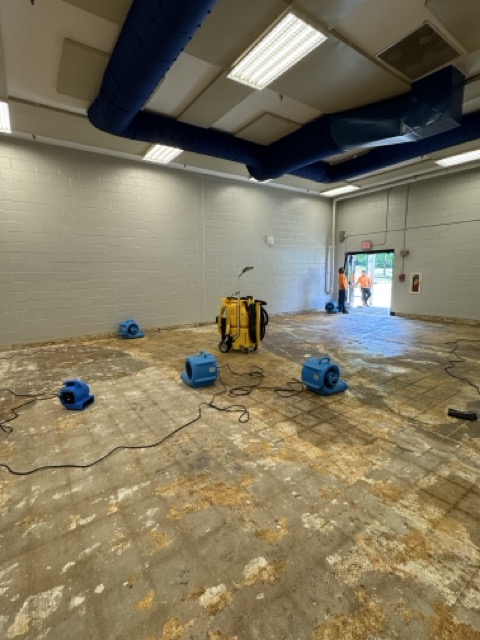 Gallery image 17