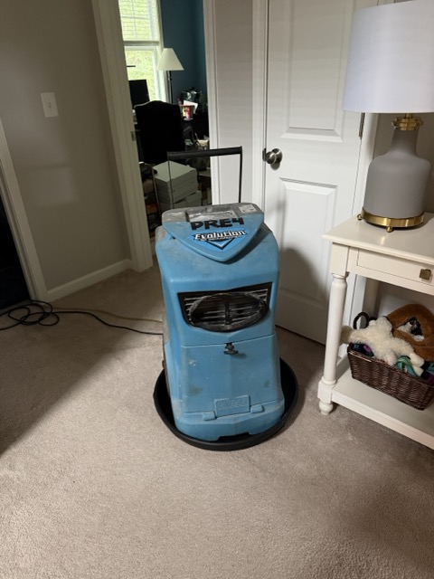 Gallery image 12